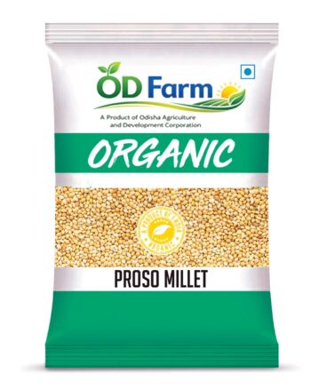PROSO MILLET